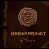CD - Herzparasit - Gifttherapie
