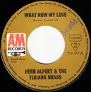 7inch Vinyl Single - Herb Alpert & The Tijuana Brass - What Now My Love / I Will Wait For You