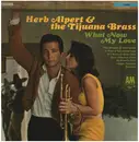 LP - Herb Alpert & the Tijuana Brass - What Now My Love