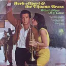 LP - Herb Alpert & The Tijuana Brass - What Now My Love