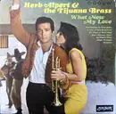 LP - Herb Alpert & The Tijuana Brass - What Now My Love