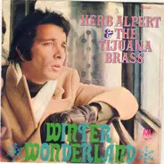 Herb Alpert & The Tijuana Brass - Winter Wonderland