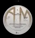 LP - Herb Alpert - Rise