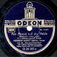 Herbert Ernst Groh - Am Abend Auf Der Heide / Melodia