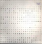 Double LP - Herbert - Scale