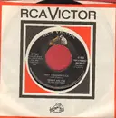 7inch Vinyl Single - Herbie And The Class Cutters - Just A Summer Kick / Like Those Ivy Walls, Man