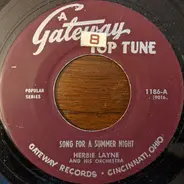 Herbie Layne's Orchestra , The Granger Twins With Herbie Layne's Orchestra - Song For A Summer Night / Tonight You Belong To Me