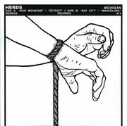 7inch Vinyl Single - Herds - Michigan