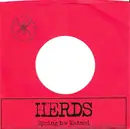 7inch Vinyl Single - Herds - Spring b/w Katmai