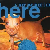 Sonica Factory Studio