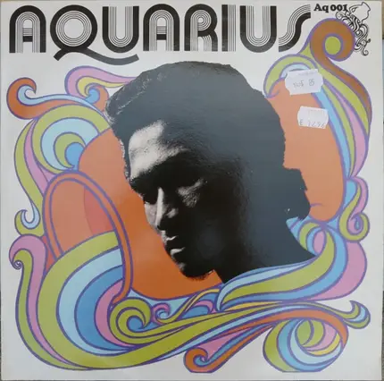 Herman Chin-Loy - Aquarius Dub