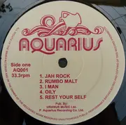 LP - Herman Chin-Loy - Aquarius Dub