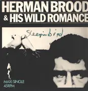 12inch Vinyl Single - Herman Brood & His Wild Romance - Sleepin Bird