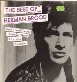 Herman Brood - The Best of Herman Brood