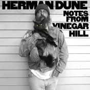 Herman Düne - Notes From Vinegar Hill