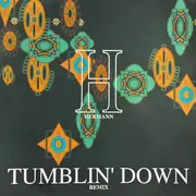 12inch Vinyl Single - Hermann - Tumblin' Down Remix