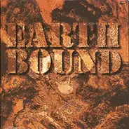 Hermann Bühler / Bonnie Barnett / Fredy Studer - Earth Bound