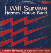 12inch Vinyl Single - Hermes House Band - I Will Survive