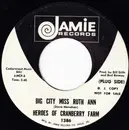 7inch Vinyl Single - Heroes Of Cranberry Farm - Big City Miss Ruth Ann / Fellow John (Has A Vision)