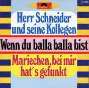 Herr Schneider Und Seine Kollegen