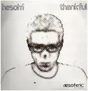 12inch Vinyl Single - Hesohi - Thankful