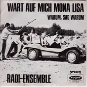 Het Radi-Ensemble