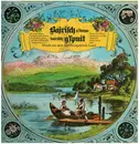 LP - Heuberg-Musi / Bischofswieser Saitenmusi / Bischofswieser Sänger / Bischofswieser-Buam - Bairisch g'sunga, Bairisch g'spuit