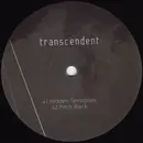 12inch Vinyl Single - Hexagon - Hidden Territories EP - EP