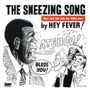 7inch Vinyl Single - Hey Fever! - The Sneezing Song