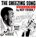 12'' - Hey Fever! - The Sneezing Song