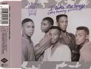 CD Single - Hi-Five - I Like The Way (The Kissing Game)