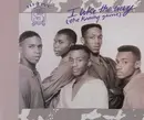 CD Single - Hi-Five - I Like The Way (The Kissing Game)