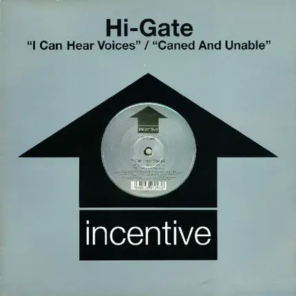 HI-Gate - I CAN HEAR VOICES