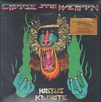 Hiatus Kaiyote - Choose Your Weapon