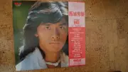 LP - Hideki Saijo - Golden Hit Deluxe16 - + OBI + Insert