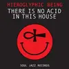 Double LP - Hieroglyphic Being - There Is No Acid In This House