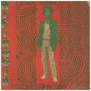 7inch Vinyl Single - Hifikodis Orchestra - Tsy Mety Takatra (Zory) / Safina