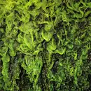 CD - High Places - High Places Vs Mankind - Digisleeve