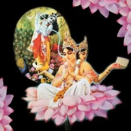 High Wolf - Atlas Nation