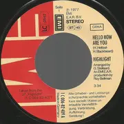 7inch Vinyl Single - Highlight - Hello How Are You
