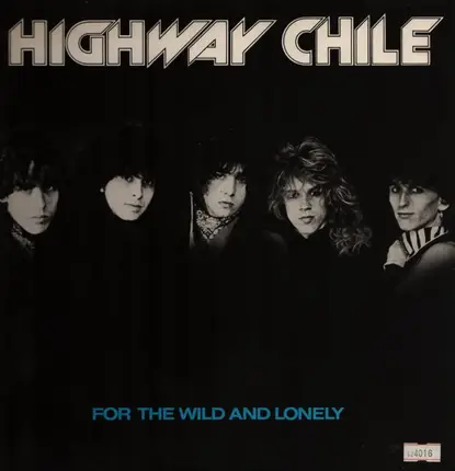 Highway Chile - For the Wild and Lonely