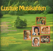 Hilde Ott / Sepp Viellechner / Rudi Knabl a.o. - Lustige Musikanten