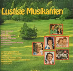 Sepp Viellechner - Lustige Musikanten