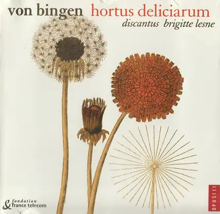 Hildegard Von Bingen / Discantus , Brigitte Lesne - Hortus Deliciarum
