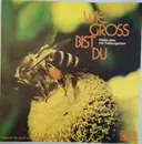 7inch Vinyl Single - Hildor Janz Mit Feldzugschor - Wie Gross Bist Du