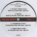 12inch Vinyl Single - Hip Hop Sampler - Clean Edits Vol. 2