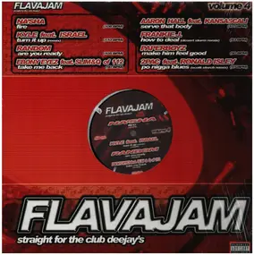 Hip Hop Sampler - Flavajam Volume 4