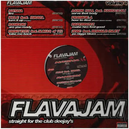 Hip Hop Sampler - Flavajam Volume 4