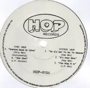 12'' - Hip Hop Sampler - Hop 010