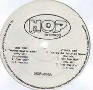 Hip Hop Sampler - Hop 010